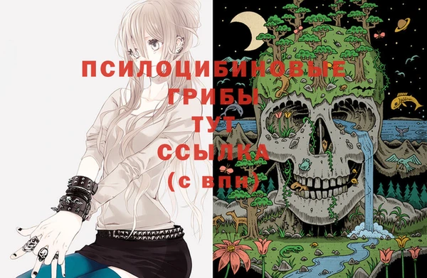 хмурый Кинешма