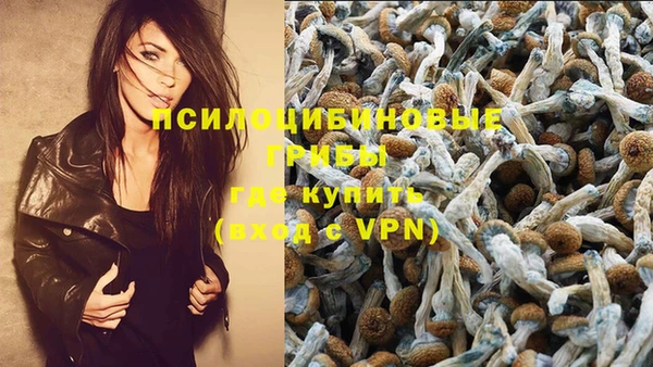 прущая мука Каменка