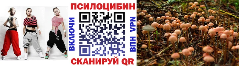 Галлюциногенные грибы GOLDEN TEACHER Купить где Великие Луки